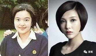 港星爆料大咖整容视频,大咖整容内幕大揭秘